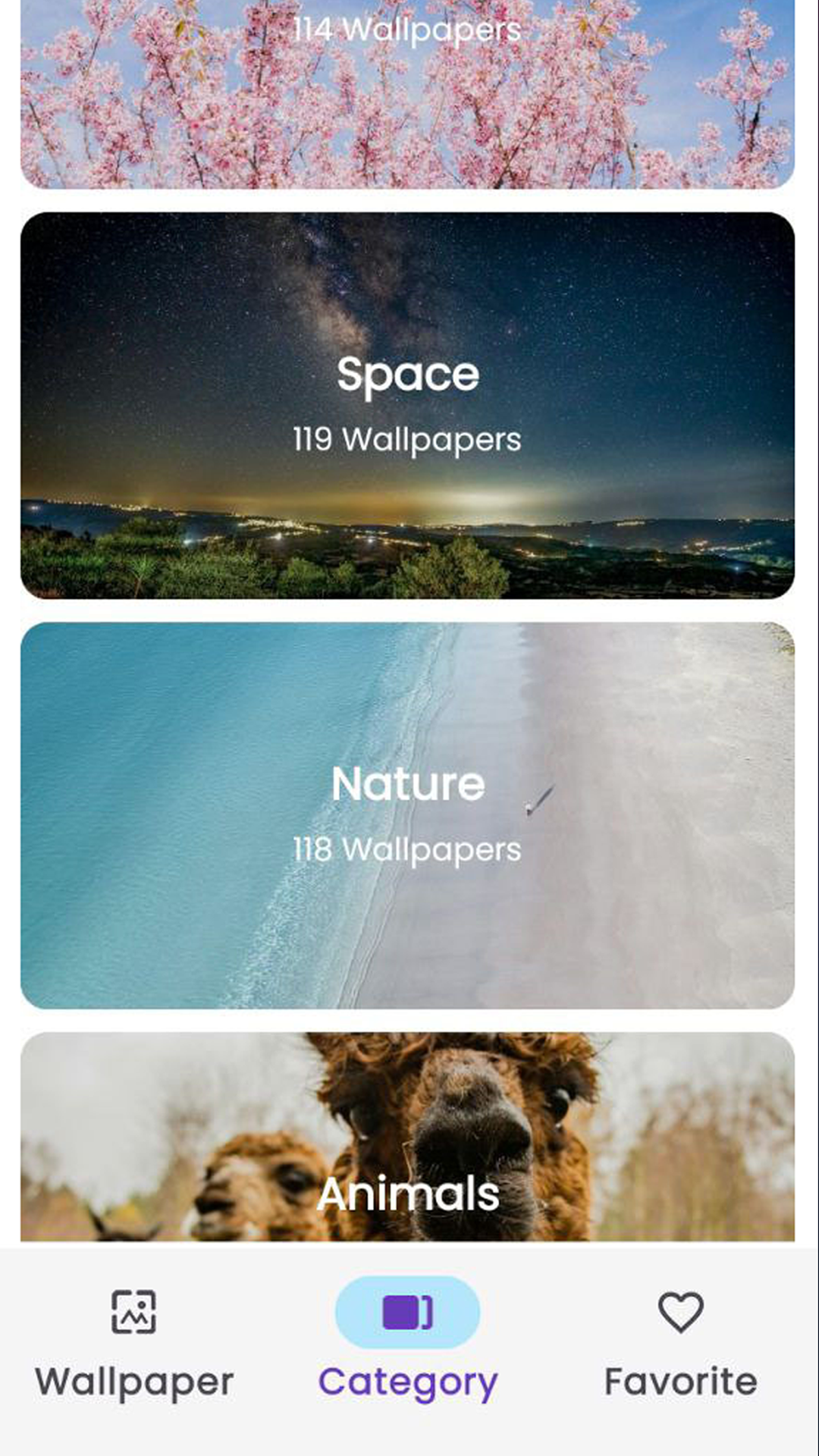App Screenshot 1